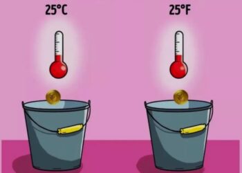 Je hebt een IQ van geniaal niveau als je weet welke munt de bodem van de emmer eerst raakt