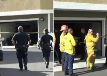 DRAMA: Dappere peuter houdt pasgeboren broertje 3 dagen in leven nadat hun ouders plotseling overlijden