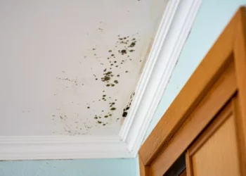 Foto’s: Vrouw in shock als ze hoort wat bruine vlekken op haar plafond zijn