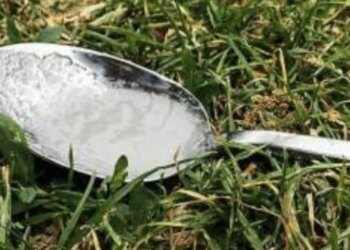 Zie je een lepel suiker in de tuin liggen? Je kunt maar beter weten wat dit betekent