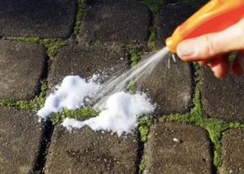 Dit is de beste oplossing tegen mos op uw oprit en terras. Binnen 15 minuten is het weg!