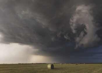 Geniet van het zonnetje! Vanaf volgende week gaat er dit gebeuren!