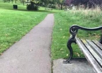 Kunt jij de hond op deze afbeelding vinden? Slechts 1% van de mensen ziet het!