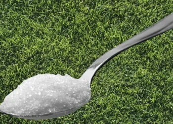 Let op! Dit is waarom je vandaag nog een lepel suiker in je tuin moet liggen