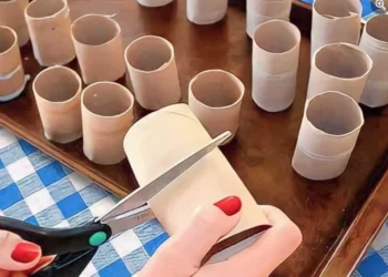 Rollen toiletpapier weggooien? Stop hier onmiddellijk mee (en dit is waarom)