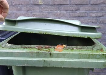 Zó maak je jouw vieze groen kliko zuiver binnen een paar minuten schoon