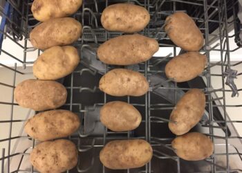 GENIAAL: Dit is waarom je aardappelen in vaatwasser moet doen