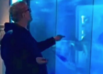 VIDEO: Man negeert “niet aanraken” bordje op aquarium van de haai en heeft direct spijt