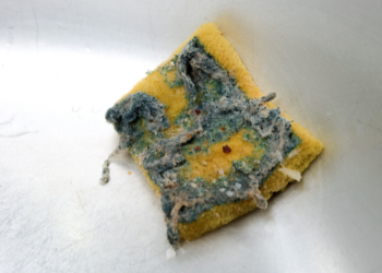 Dit is het meest smerige item in jouw keuken en het is niet wat je denkt